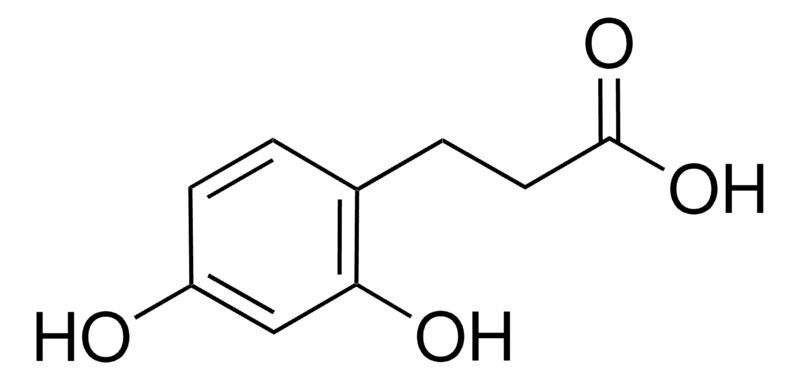 3-(2,4-Dihydroxyphenyl)propionic acid