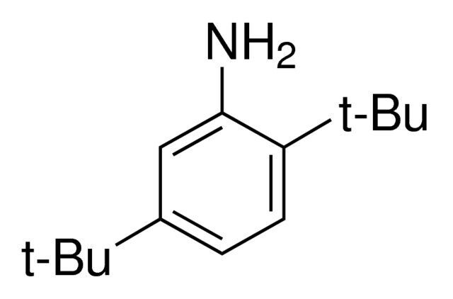 2,5-Di-tert-butylaniline