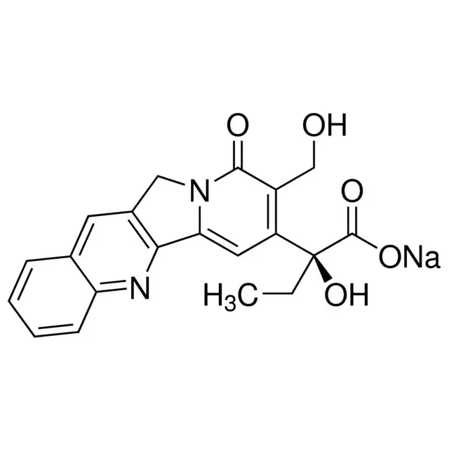 sodium camptothecin