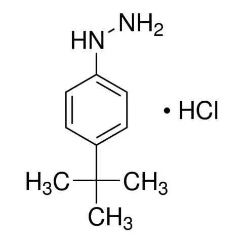 4-tert-Butylphenylhydrazine monohydrochloride