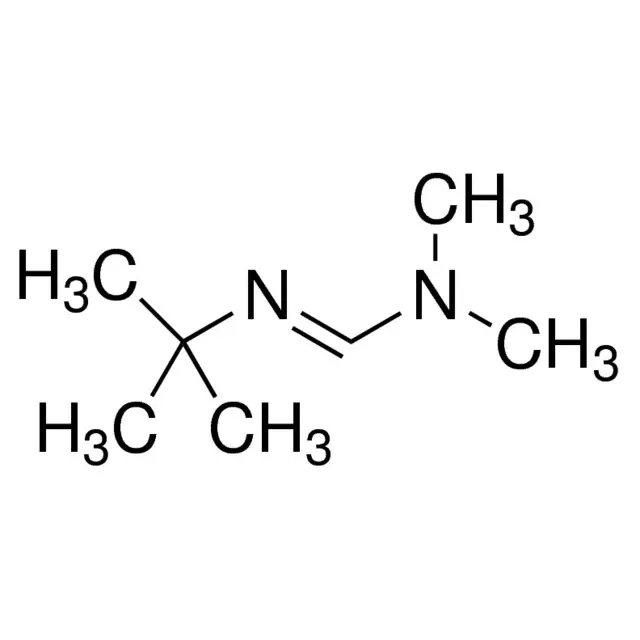 N′-tert-Butyl-N,N-dimethylformamidine