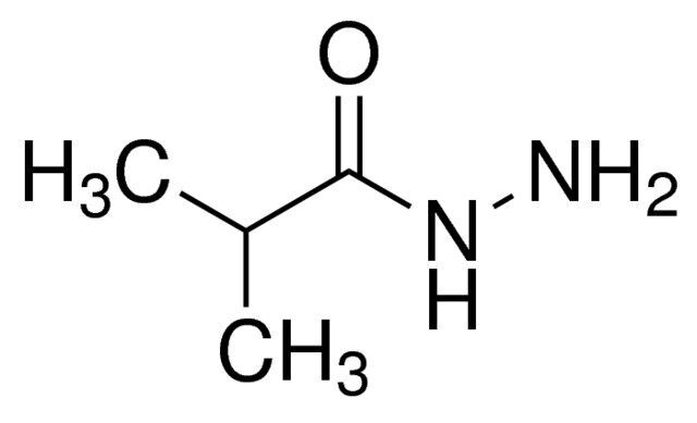 isobutyric acid hydrazide