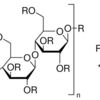 Ethyl cellulose