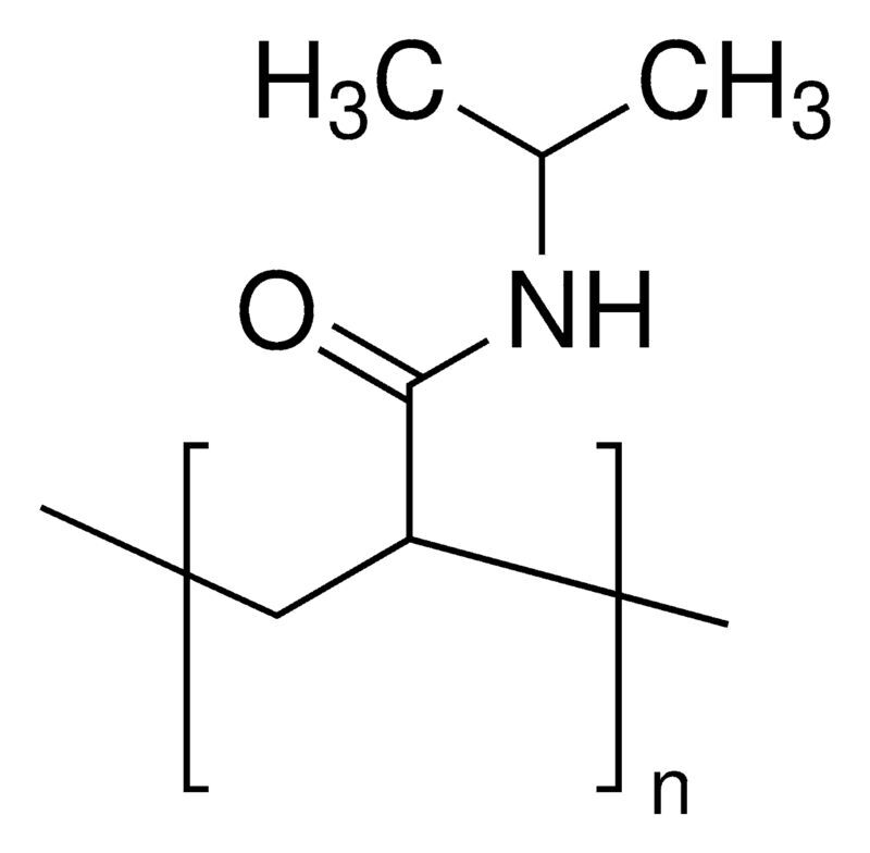 Poly(N-isopropylacrylamide)