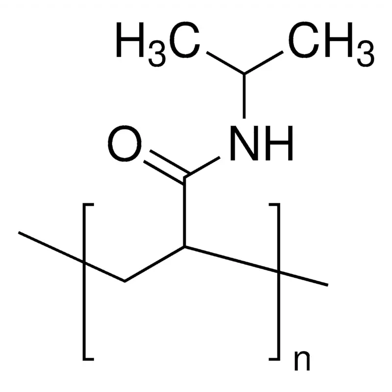 Poly(N-isopropylacrylamide)