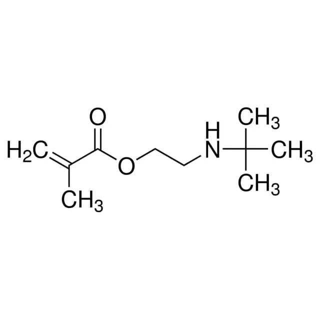 2-(tert-Butylamino)ethyl methacrylate