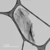Graphene