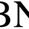 Monolayer hexagonal Boron Nitride (hBN) on Si/SiO2 wafer