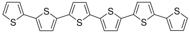 α-Sexithiophene