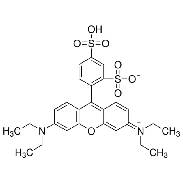 Sulforhodamine B, acid form