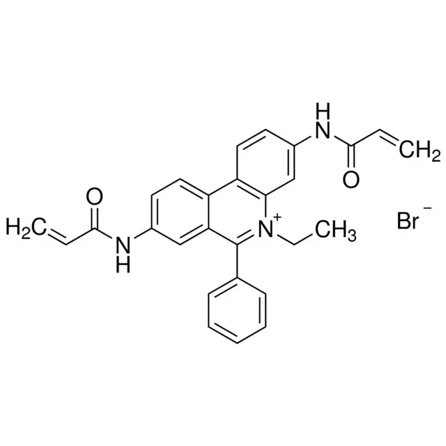 Ethidium bromide-N,N′-bisacrylamide