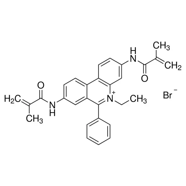 Ethidium bromide-N,N′-bismethacrylamide