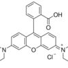 Rhodamine B