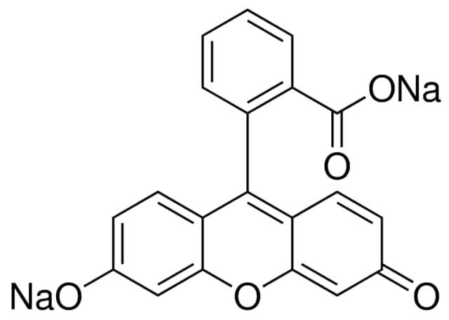 Fluorescein sodium (C.I. 45350)