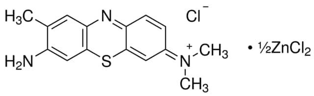 Toluidine Blue