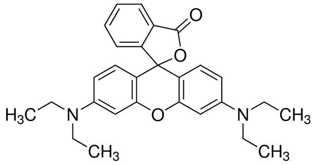 Rhodamine B base