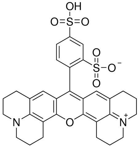 Sulforhodamine 101