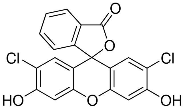 2′,7′-Dichlorofluorescein