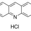 Acridine Orange solution