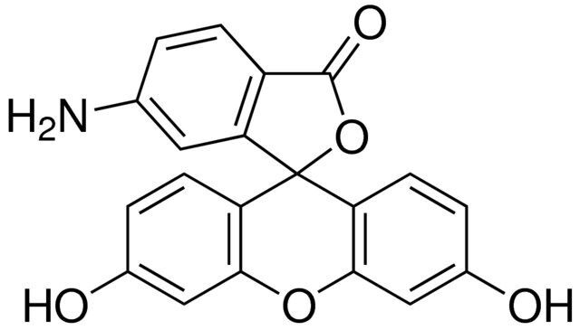 6-Aminofluorescein