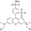 Sulforhodamine B