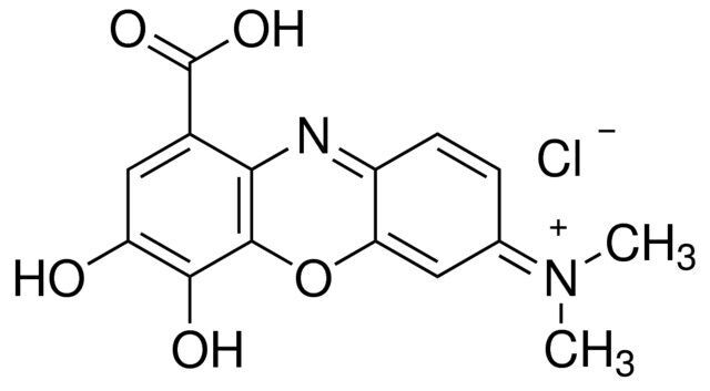 Gallocyanine