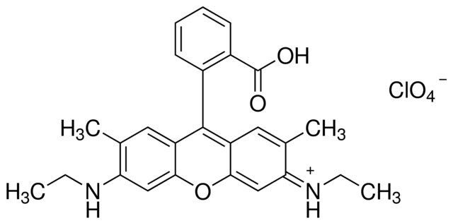 Rhodamine 19 perchlorate