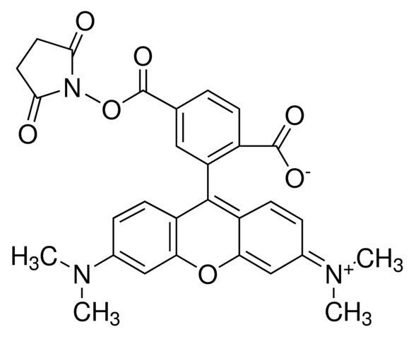 6-Carboxy-tetramethylrhodamine N-succinimidyl ester