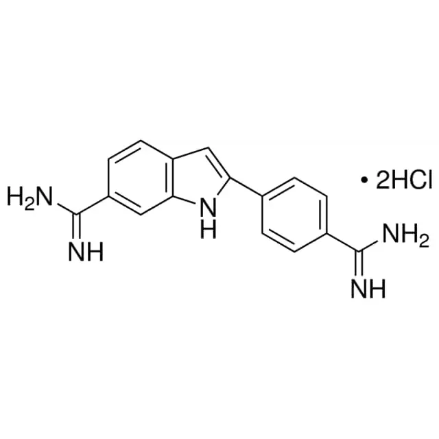 DAPI