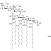 Kdo2-Lipid A (KLA)