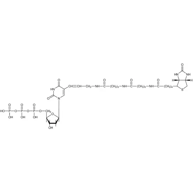 Biotin-16-dUTP
