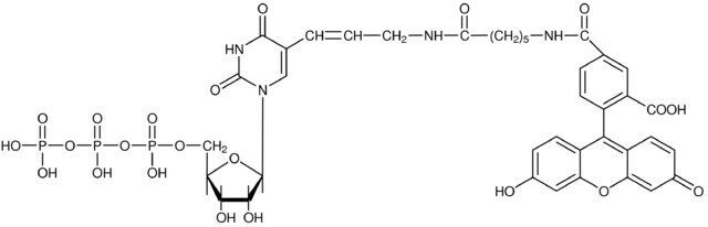 Fluorescein-12-UTP