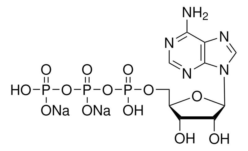 Adenosine 5′-triphosphate disodium salt solution