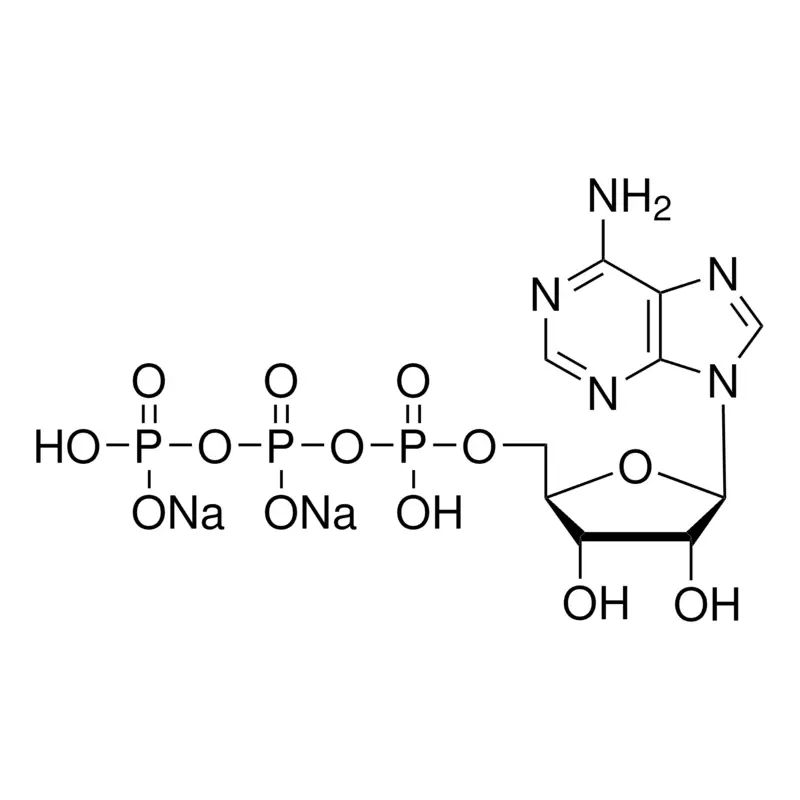 Adenosine 5′-triphosphate disodium salt solution