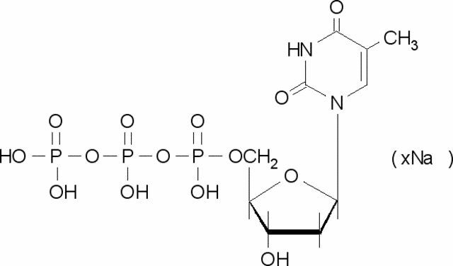 Thymidine 5′-triphosphate sodium salt solution