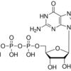 Guanosine 5′-triphosphate sodium salt solution