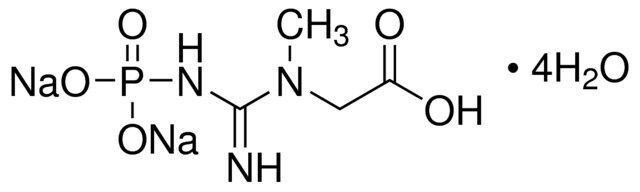 Creatine phosphate