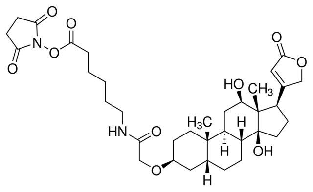 Digoxigenin-3-O-methylcarbonyl-ε-aminocaproic acid-N-hydroxysuccinimide ester