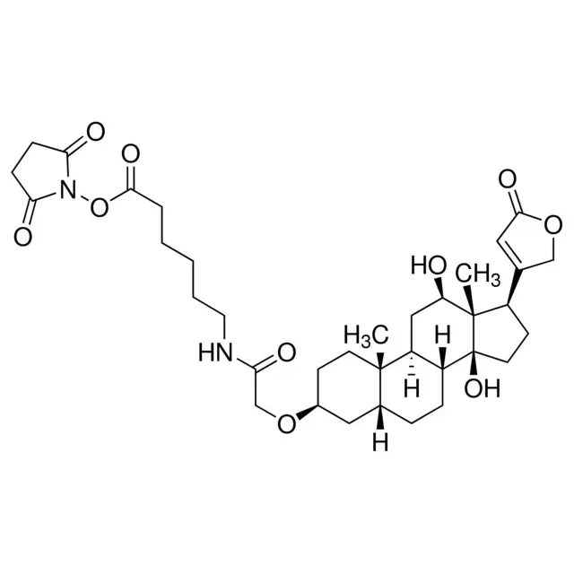 Digoxigenin-3-O-methylcarbonyl-ε-aminocaproic acid-N-hydroxysuccinimide ester