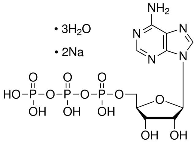 Adenosine 5′-triphosphate disodium salt trihydrate