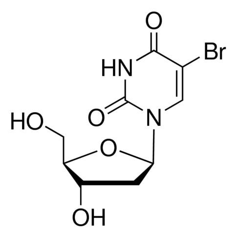 5-Bromo-2′-deoxyuridine