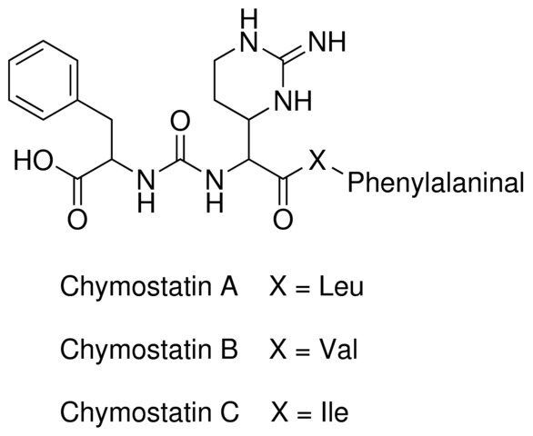 Chymostatin