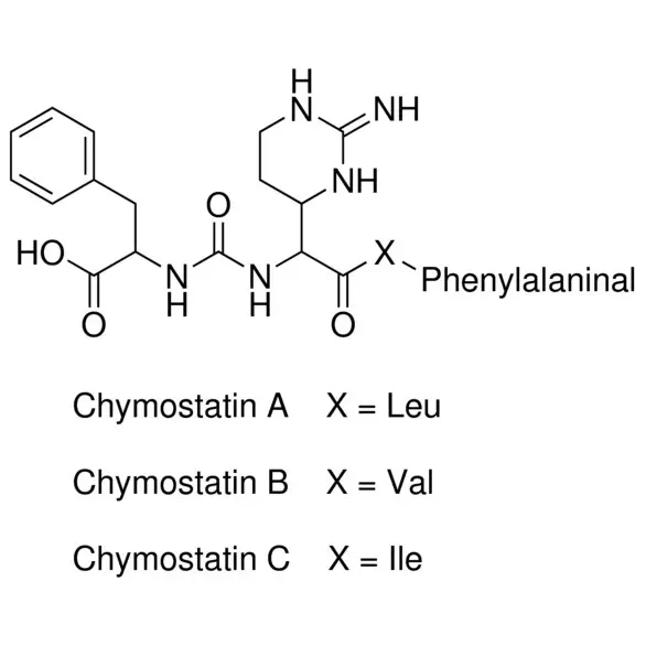 Chymostatin