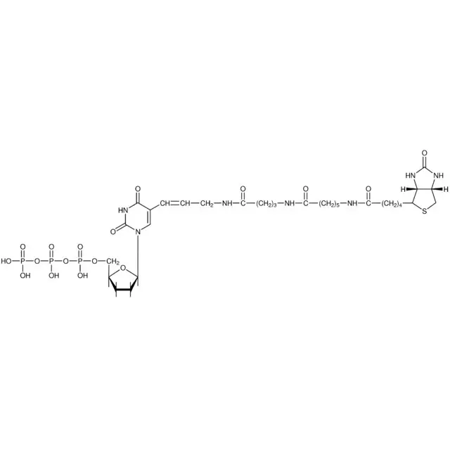 Biotin-16-ddUTP