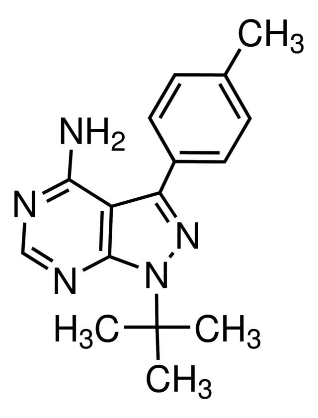 PP1