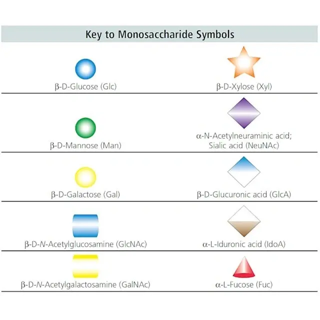O-Glycosidase from Streptococcus pneumoniae