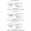 Chondroitinase AC from Flavobacterium heparinum