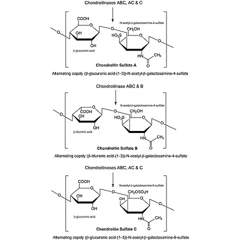 Chondroitinase C from Flavobacterium heparinum