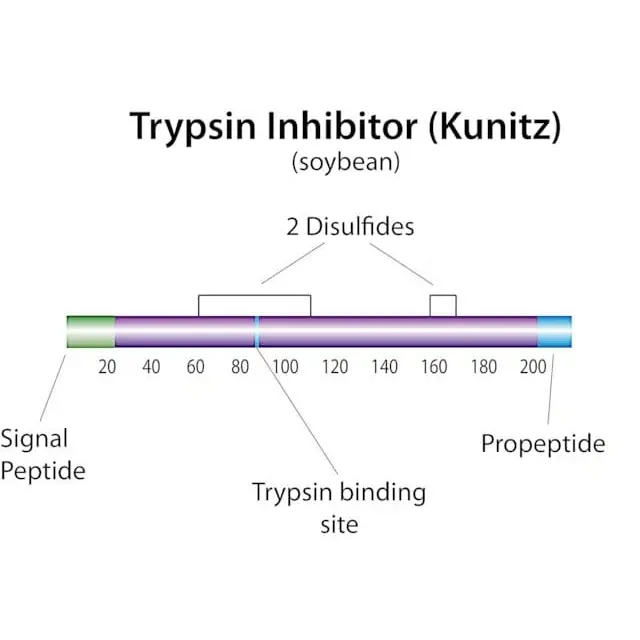Trypsin inhibitor from Glycine max (soybean)