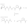 Collagenase from Clostridium histolyticum
